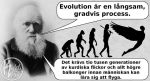 evolutionbalkong
